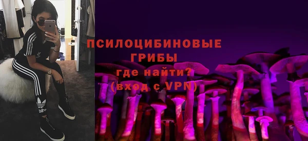 PSILOCYBIN Беломорск