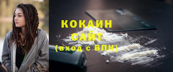 кокс Белокуриха