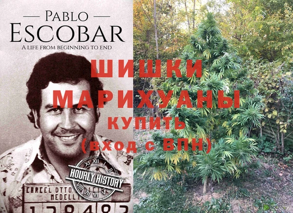 PSILOCYBIN Беломорск