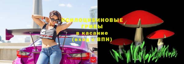 PSILOCYBIN Беломорск