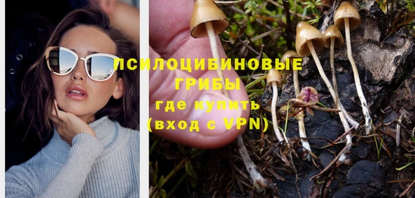 PSILOCYBIN Беломорск